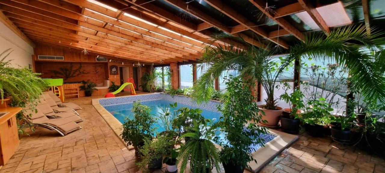 Dnt House &Spa Circea Exterior photo